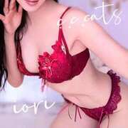 ヒメ日記 2025/04/14 12:26 投稿 いおり C.C.CATS