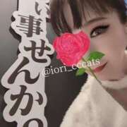 ヒメ日記 2025/04/14 22:26 投稿 いおり C.C.CATS