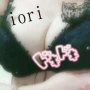 ヒメ日記 2025/04/19 09:26 投稿 いおり C.C.CATS