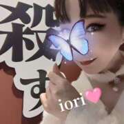 ヒメ日記 2025/04/20 04:45 投稿 いおり C.C.CATS