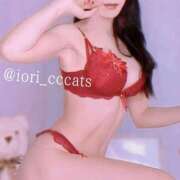 ヒメ日記 2025/04/22 12:26 投稿 いおり C.C.CATS