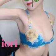 ヒメ日記 2025/04/26 13:46 投稿 いおり C.C.CATS