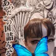 ヒメ日記 2025/04/28 00:06 投稿 いおり C.C.CATS