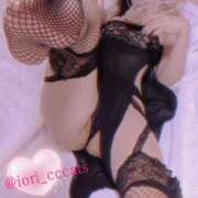 ヒメ日記 2025/06/07 11:02 投稿 いおり C.C.CATS