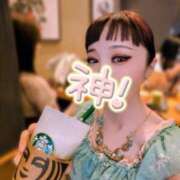 ヒメ日記 2025/08/08 08:01 投稿 いおり C.C.CATS