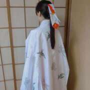 ヒメ日記 2025/09/13 08:41 投稿 いおり C.C.CATS