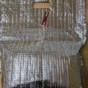 ヒメ日記 2025/09/13 15:41 投稿 いおり C.C.CATS