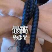 ヒメ日記 2025/09/13 16:41 投稿 いおり C.C.CATS