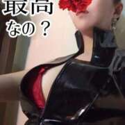 ヒメ日記 2025/09/19 19:21 投稿 いおり C.C.CATS