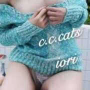 ヒメ日記 2025/10/02 08:21 投稿 いおり C.C.CATS