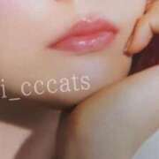 ヒメ日記 2026/02/12 22:22 投稿 いおり CCキャッツ