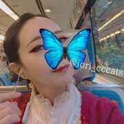 ヒメ日記 2026/03/28 19:02 投稿 いおり CCキャッツ