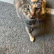 ヒメ日記 2025/09/23 14:48 投稿 とも ルージュ