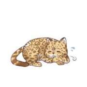 ヒメ日記 2024/12/22 06:43 投稿 ねね 花火-hanabi-(すすきの)