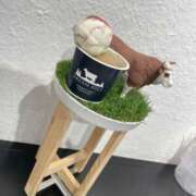 ヒメ日記 2025/01/11 19:23 投稿 ねね 花火-hanabi-(すすきの)