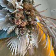 ヒメ日記 2025/03/14 20:24 投稿 ねね 花火-hanabi-(すすきの)