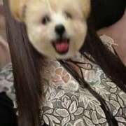 ヒメ日記 2025/04/06 19:30 投稿 ねね 花火-hanabi-(すすきの)