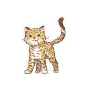 ヒメ日記 2025/04/25 10:03 投稿 ねね 花火-hanabi-(すすきの)