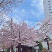 ヒメ日記 2025/05/02 14:53 投稿 ねね 花火-hanabi-(すすきの)