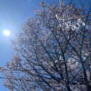 ヒメ日記 2025/05/06 02:13 投稿 ねね 花火-hanabi-(すすきの)