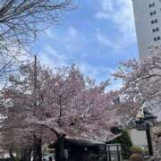 ヒメ日記 2025/05/12 14:03 投稿 ねね 花火-hanabi-(すすきの)