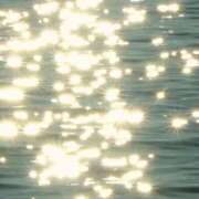 ヒメ日記 2025/11/24 21:13 投稿 ねね 花火-hanabi-(すすきの)