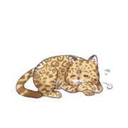 ヒメ日記 2026/02/12 01:43 投稿 ねね 花火-hanabi-(すすきの)