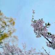 ヒメ日記 2026/03/24 19:04 投稿 ねね 花火-hanabi-(すすきの)