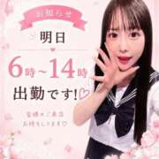 ヒメ日記 2026/08/06 12:33 投稿 ねね 花火-hanabi-(すすきの)