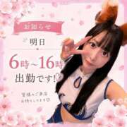 ヒメ日記 2026/08/12 12:24 投稿 ねね 花火-hanabi-(すすきの)