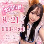 ヒメ日記 2026/08/19 21:13 投稿 ねね 花火-hanabi-(すすきの)