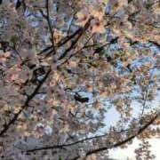 ヒメ日記 2026/04/06 20:23 投稿 みはる ルージュ