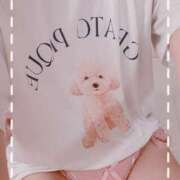 ヒメ日記 2025/08/15 14:36 投稿 さくら かりんと秋葉原