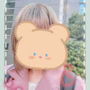 さくら 17日と19日₊˚⊹ ʚɞ かりんと秋葉原