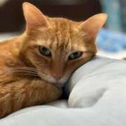 ヒメ日記 2024/12/11 08:51 投稿 えまさん いけない奥さん 梅田店