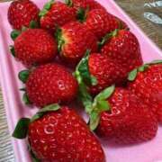 ヒメ日記 2025/02/01 12:52 投稿 えまさん いけない奥さん 梅田店