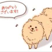 ヒメ日記 2024/12/09 20:08 投稿 ことさん いけない奥さん 梅田店