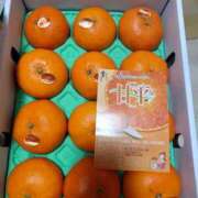 ヒメ日記 2025/02/08 19:43 投稿 ことさん いけない奥さん 梅田店