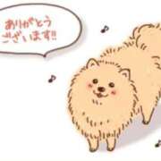 ヒメ日記 2025/02/14 19:30 投稿 ことさん いけない奥さん 梅田店