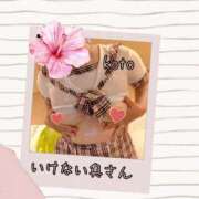 ヒメ日記 2025/08/13 12:08 投稿 ことさん いけない奥さん 梅田店