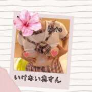 ヒメ日記 2026/04/18 10:22 投稿 ことさん いけない奥さん 梅田店