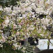 ヒメ日記 2026/04/08 04:48 投稿 ひめかさん いけない奥さん 梅田店