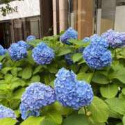 ヒメ日記 2026/06/29 04:58 投稿 ひめかさん いけない奥さん 梅田店