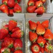 ヒメ日記 2025/02/24 16:22 投稿 まりあさん いけない奥さん 梅田店