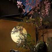 ヒメ日記 2025/04/06 22:58 投稿 まりあさん いけない奥さん 梅田店