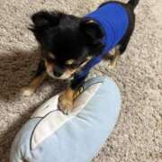 ヒメ日記 2025/10/04 08:38 投稿 まりあさん いけない奥さん 梅田店