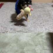 ヒメ日記 2025/11/05 23:05 投稿 まりあさん いけない奥さん 梅田店