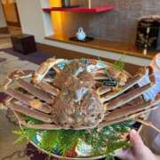 ヒメ日記 2025/12/11 22:08 投稿 まりあさん いけない奥さん 梅田店