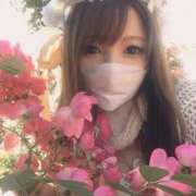 ヒメ日記 2026/05/15 12:14 投稿 まりあさん いけない奥さん 梅田店