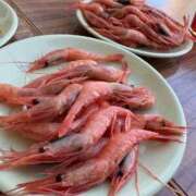 ヒメ日記 2026/08/11 13:58 投稿 まりあさん いけない奥さん 梅田店